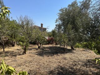 Οικόπεδο 360 τ.μ. για πώληση, Ν. Λέσβου, Λέσβος - Καλλονή-thumb-25