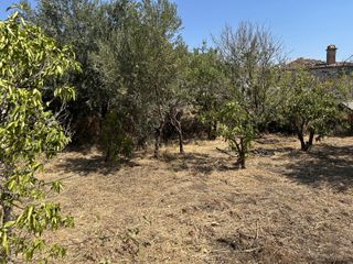 Οικόπεδο 360 τ.μ. για πώληση, Ν. Λέσβου, Λέσβος - Καλλονή-thumb-26