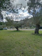 Αγροτεμάχια 1.200 τ.μ. για πώληση