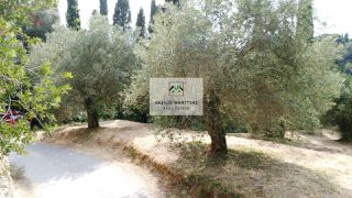 Οικόπεδο 2.524 τ.μ. πρός πώληση, Ν. Κέρκυρας, Κέρκυρα-thumb-8