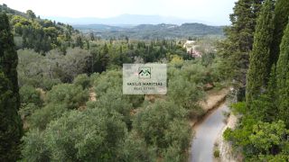 Οικόπεδο 2.524 τ.μ. πρός πώληση, Ν. Κέρκυρας, Κέρκυρα-thumb-1
