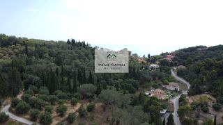 Οικόπεδο 2.524 τ.μ. πρός πώληση, Ν. Κέρκυρας, Κέρκυρα-thumb-15