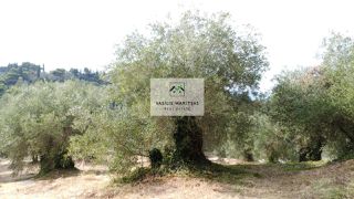 Οικόπεδο 2.524 τ.μ. πρός πώληση, Ν. Κέρκυρας, Κέρκυρα-thumb-17