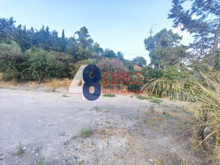 Οικόπεδο 1.339,47 τ.μ. πρός ενοικίαση, Ν. Χίου, Χίος-thumb-3