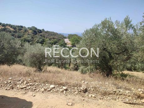 Αγροτεμάχια 3.400 τ.μ. προς πώληση