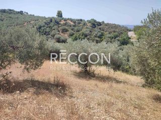 Αγροτεμάχια 3.400 τ.μ. προς πώληση, Ασμήνιο-thumb-2