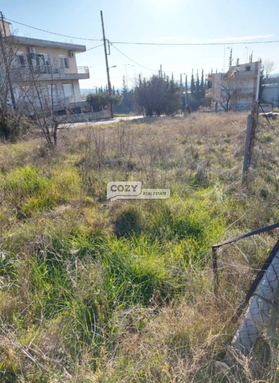 Οικόπεδο 575 τ.μ. προς ενοικίαση, Θεσσαλονίκη - Περιφ/Κοί Δήμοι, Ευκαρπία