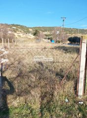 Οικόπεδο 575 τ.μ. προς ενοικίαση, Κέντρο Ευκαρπίας-thumb-4