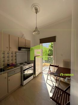 Studio 33 sqm for rent