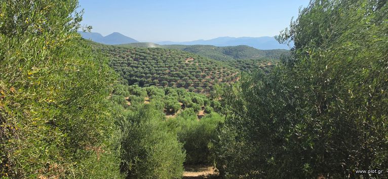 Αγροτεμάχια 35.744 τ.μ. για πώληση, Μεσσηνία, Αριστομένης