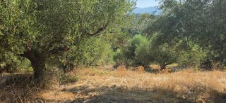 Αγροτεμάχια 35.744 τ.μ. για πώληση, Μεσσηνία, Αριστομένης-thumb-11