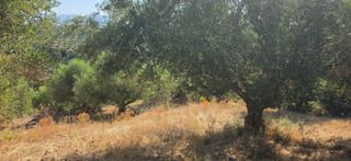 Αγροτεμάχια 35.744 τ.μ. για πώληση, Μεσσηνία, Αριστομένης-thumb-12