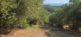 Αγροτεμάχια 35.744 τ.μ. για πώληση, Μεσσηνία, Αριστομένης-thumb-13
