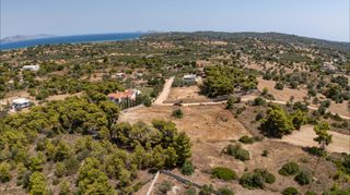 Αγροτεμάχια 4.091 τ.μ. προς πώληση, Πορτοχέλι-thumb-11