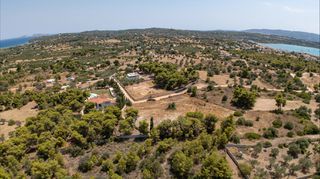 Αγροτεμάχια 4.091 τ.μ. προς πώληση, Πορτοχέλι-thumb-13