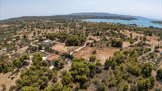 Αγροτεμάχια 4.091 τ.μ. προς πώληση, Πορτοχέλι-thumb-14
