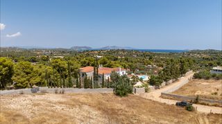 Αγροτεμάχια 4.091 τ.μ. προς πώληση, Πορτοχέλι-thumb-8