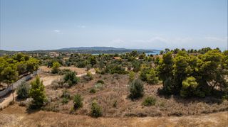 Αγροτεμάχια 4.091 τ.μ. προς πώληση, Πορτοχέλι-thumb-10