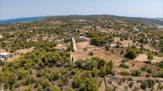 Αγροτεμάχια 4.091 τ.μ. προς πώληση, Πορτοχέλι-thumb-12
