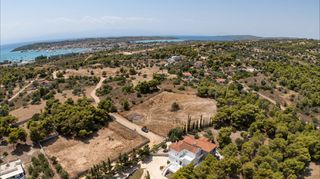 Αγροτεμάχια 4.091 τ.μ. προς πώληση, Πορτοχέλι-thumb-16