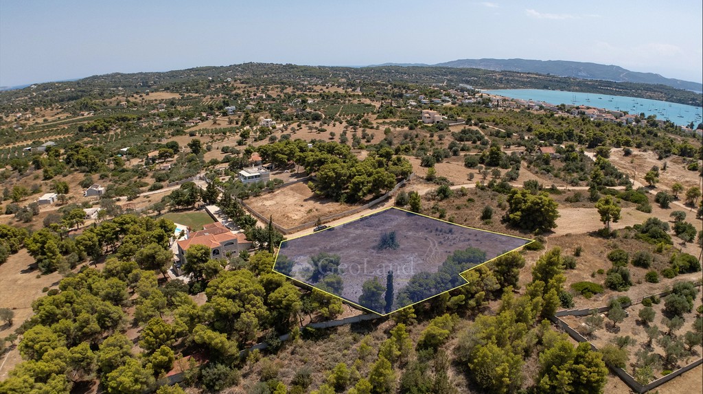 Αγροτεμάχια 4.091 τ.μ. προς πώληση, Πορτοχέλι