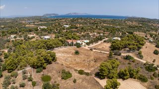 Αγροτεμάχια 4.091 τ.μ. προς πώληση, Πορτοχέλι-thumb-9