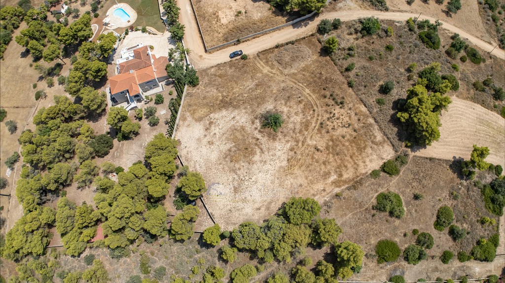 Αγροτεμάχια 4.091 τ.μ. προς πώληση, Πορτοχέλι
