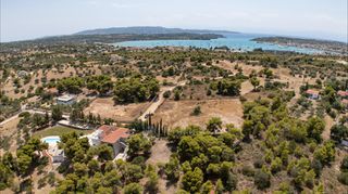 Αγροτεμάχια 4.091 τ.μ. προς πώληση, Πορτοχέλι-thumb-15
