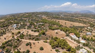 Αγροτεμάχια 4.091 τ.μ. προς πώληση, Πορτοχέλι-thumb-22