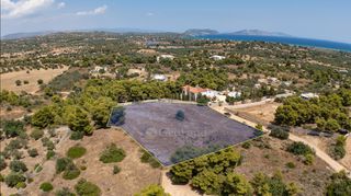 Αγροτεμάχια 4.091 τ.μ. προς πώληση, Πορτοχέλι-thumb-5