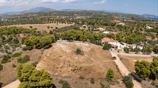 Αγροτεμάχια 4.091 τ.μ. προς πώληση, Πορτοχέλι-thumb-6
