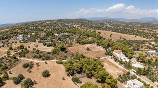 Αγροτεμάχια 4.091 τ.μ. προς πώληση, Πορτοχέλι-thumb-21