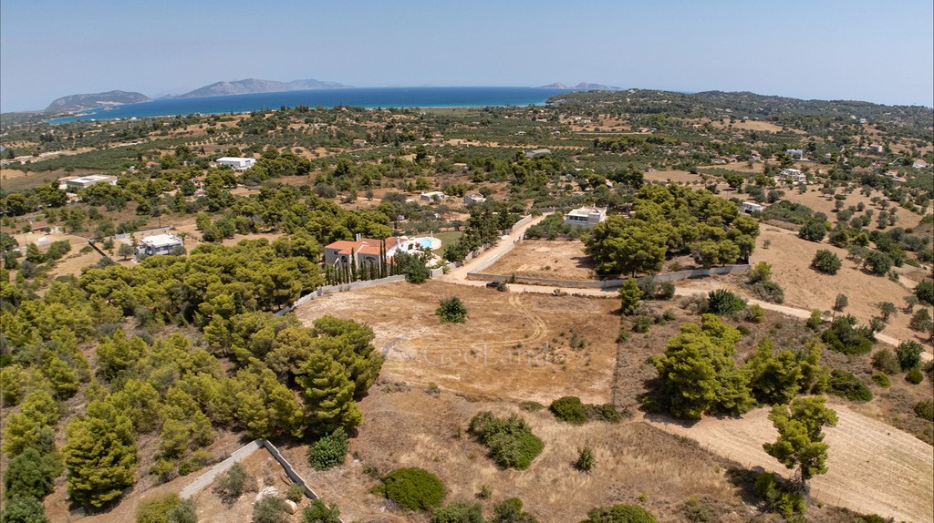 Αγροτεμάχια 4.091 τ.μ. προς πώληση, Πορτοχέλι