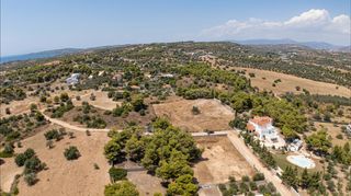 Αγροτεμάχια 4.091 τ.μ. προς πώληση, Πορτοχέλι-thumb-19