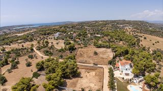 Αγροτεμάχια 4.091 τ.μ. προς πώληση, Πορτοχέλι-thumb-18