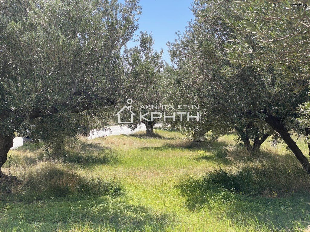 Οικόπεδο 600 τ.μ. προς πώληση, Μεσαμπελιές