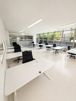 Office 460 sqm for rent