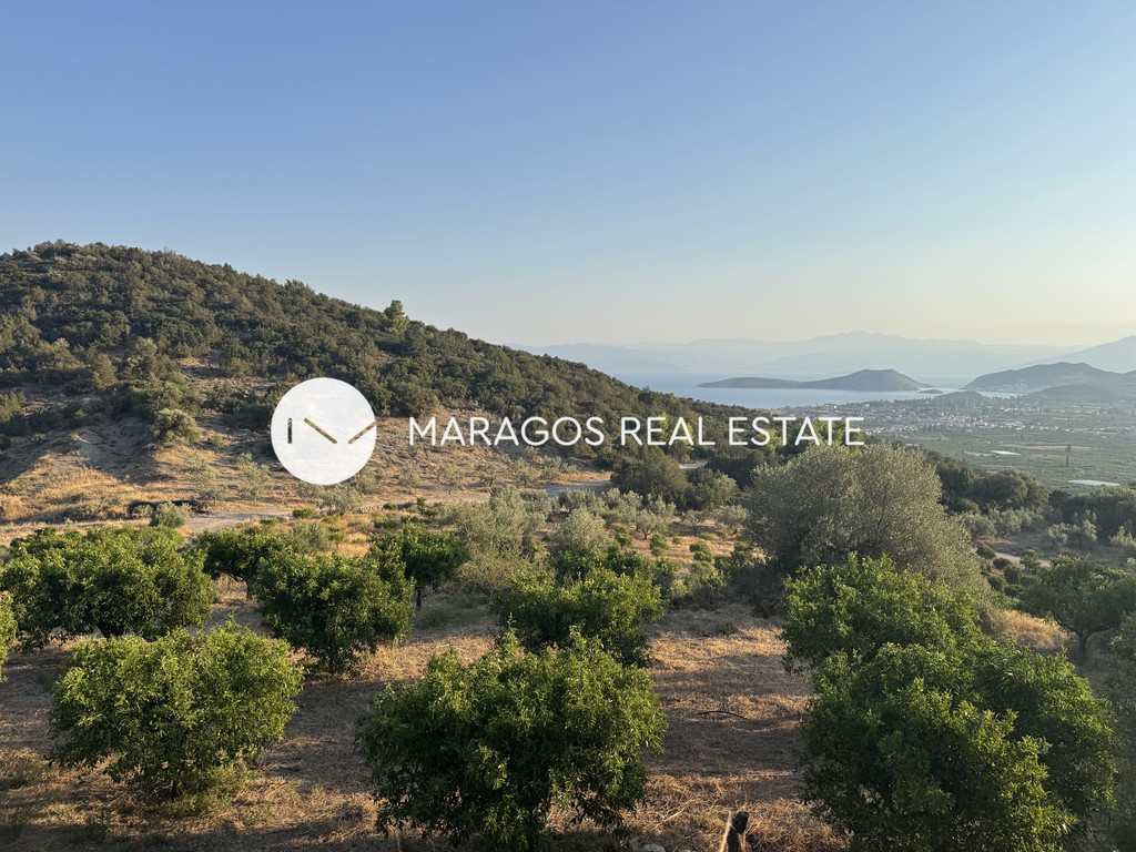 Αγροτεμάχια 14.275,19 τ.μ. προς πώληση, Δρέπανο Ασίνης