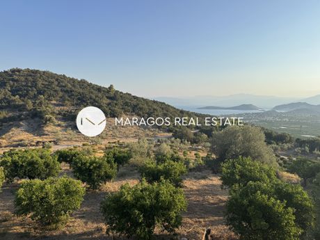 Αγροτεμάχια 14.275,19 τ.μ. προς πώληση