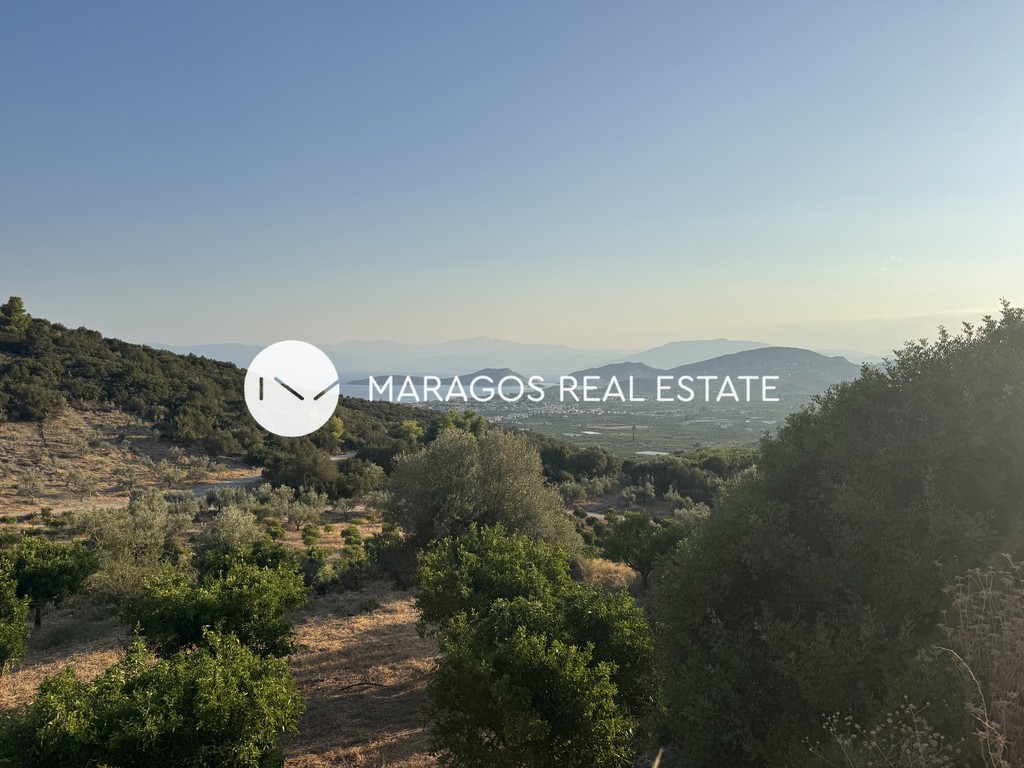 Αγροτεμάχια 14.275,19 τ.μ. προς πώληση, Δρέπανο Ασίνης