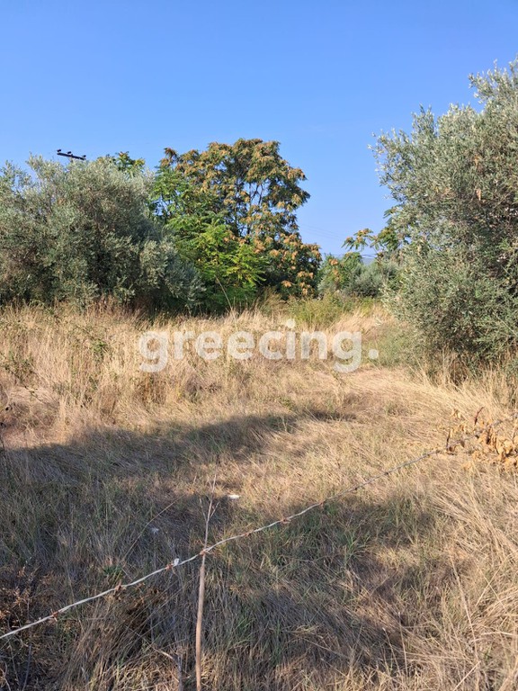 Οικόπεδο 600 τ.μ. προς πώληση, Παραλία Αγίου Νικολάου