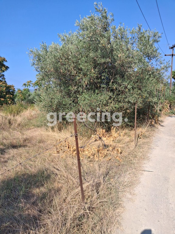 Οικόπεδο 600 τ.μ. προς πώληση, Παραλία Αγίου Νικολάου