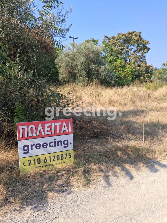 Οικόπεδο 600 τ.μ. προς πώληση, Παραλία Αγίου Νικολάου