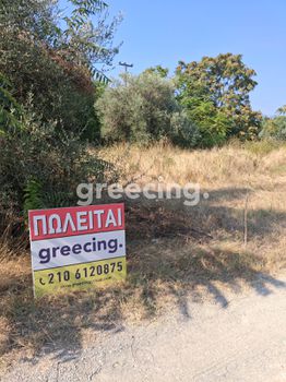 Οικόπεδο 600 τ.μ. προς πώληση