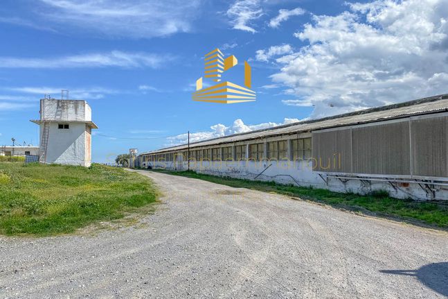 Οικόπεδο 45.000 τ.μ. για πώληση, Βοιωτία, Τανάγρα