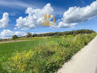 Οικόπεδο 45.000 τ.μ. για πώληση, Βοιωτία, Τανάγρα-thumb-5