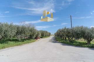 Οικόπεδο 45.000 τ.μ. για πώληση, Βοιωτία, Τανάγρα-thumb-10