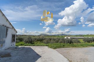 Οικόπεδο 45.000 τ.μ. για πώληση, Βοιωτία, Τανάγρα-thumb-19