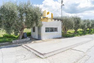 Οικόπεδο 45.000 τ.μ. για πώληση, Βοιωτία, Τανάγρα-thumb-7