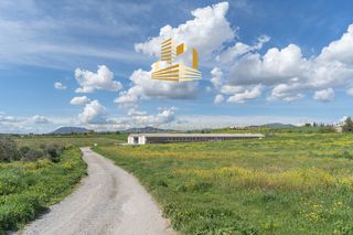 Οικόπεδο 45.000 τ.μ. για πώληση, Βοιωτία, Τανάγρα-thumb-25